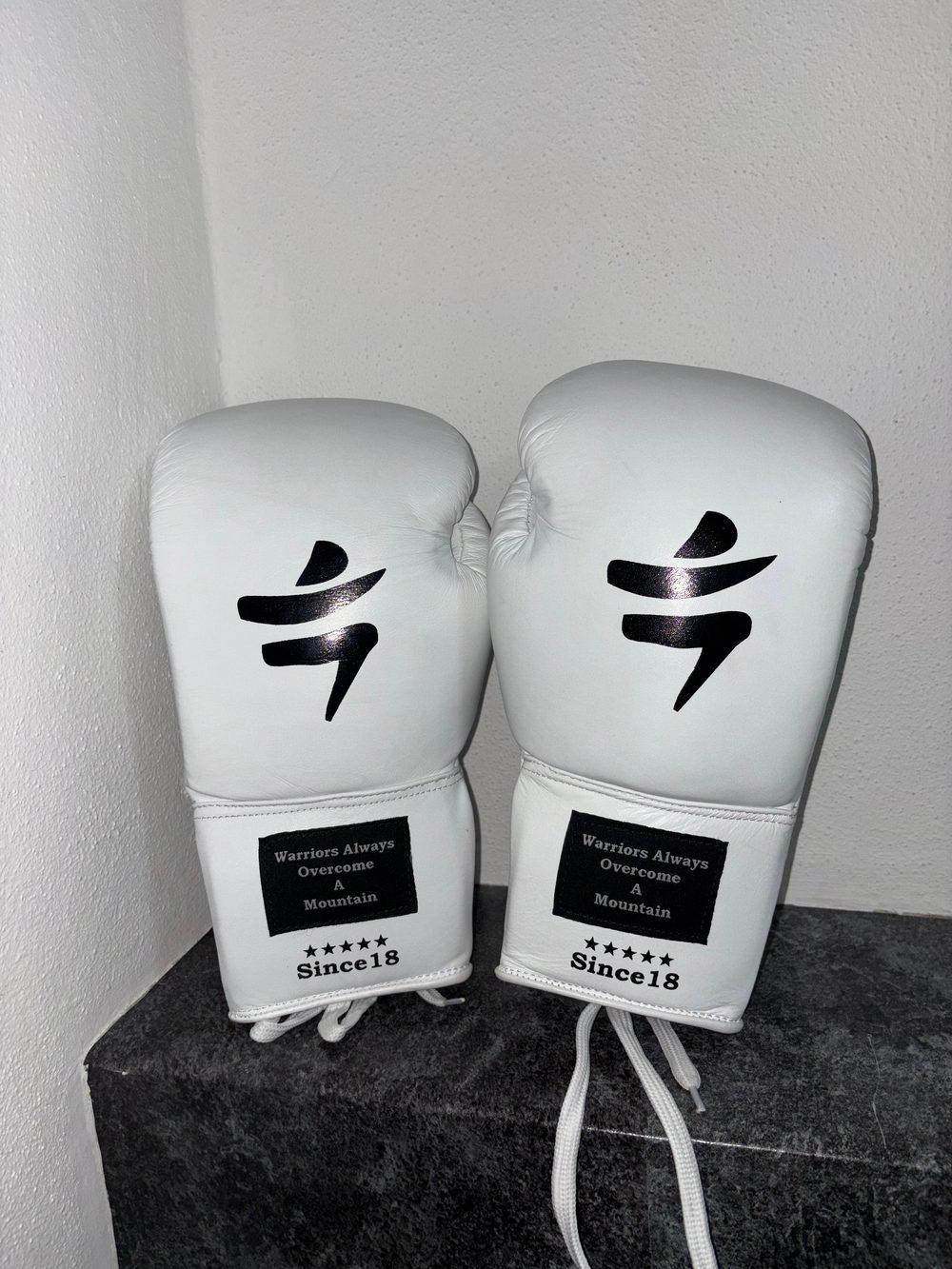 Pro Fight gloves wit